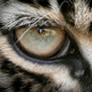 Meet your Posher, Henry